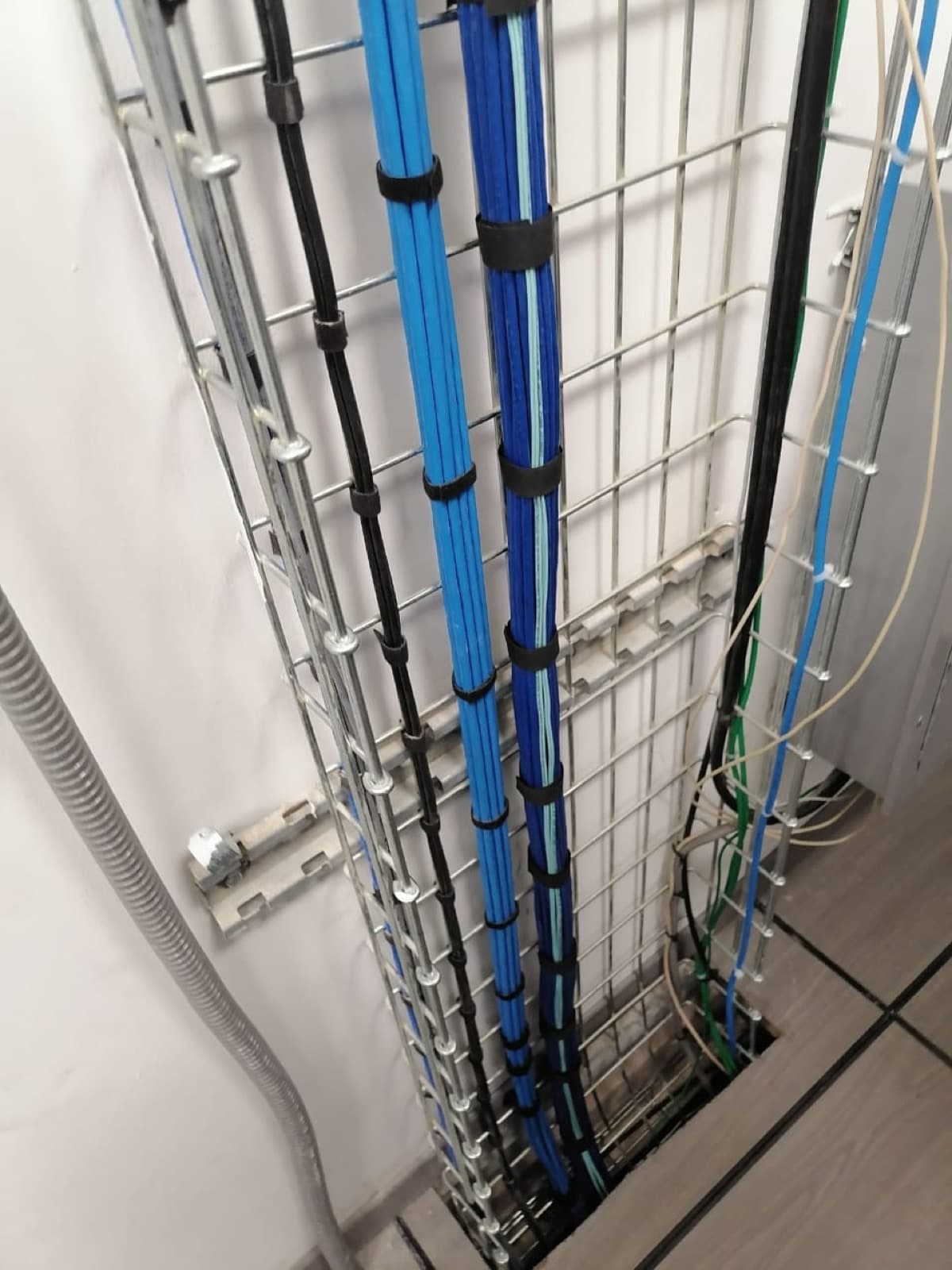 Proyecto SYNERTEL 5